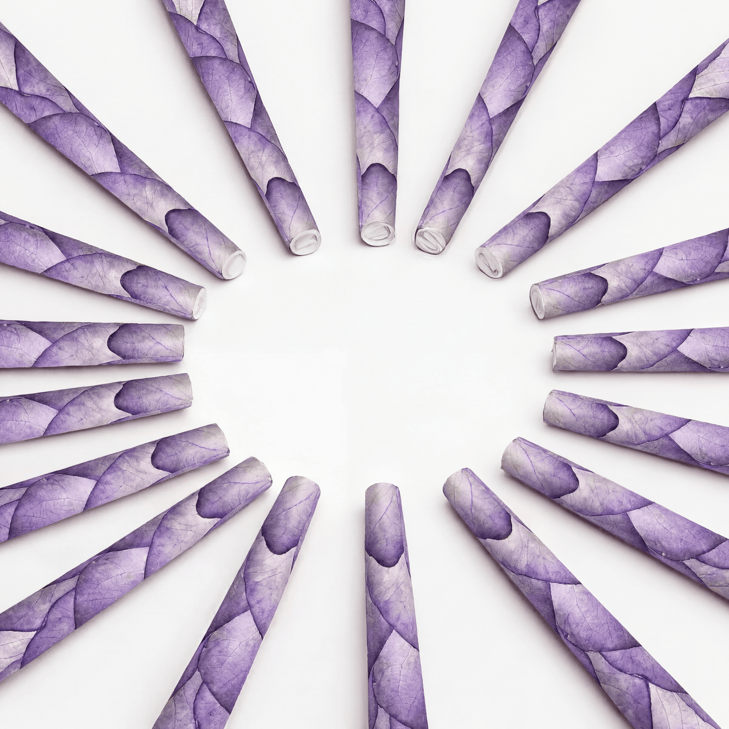Lotus Petal Cones - Pack of 70 cones